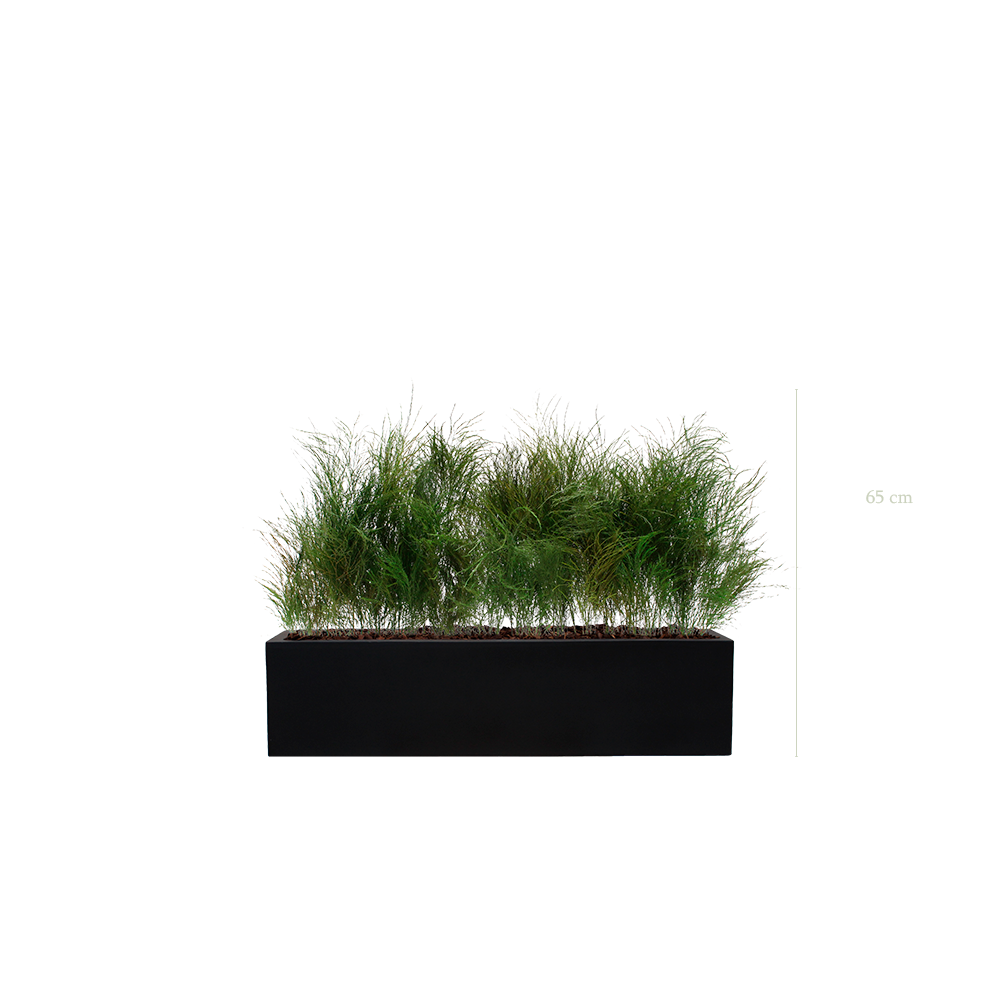 Jardinière Herbe Folle- Bac Noir #Stabilisé