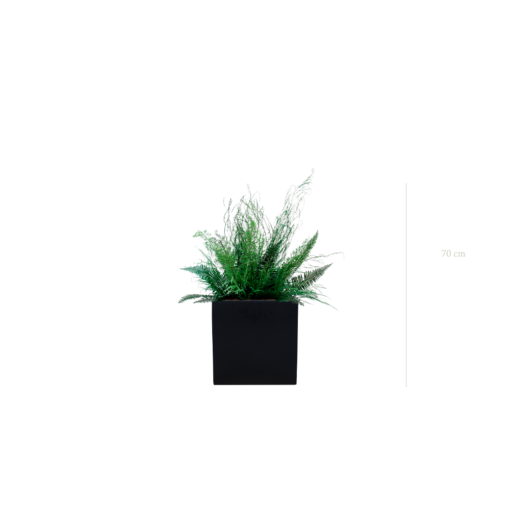 La Forêt - Cube Noir #Stabilisé