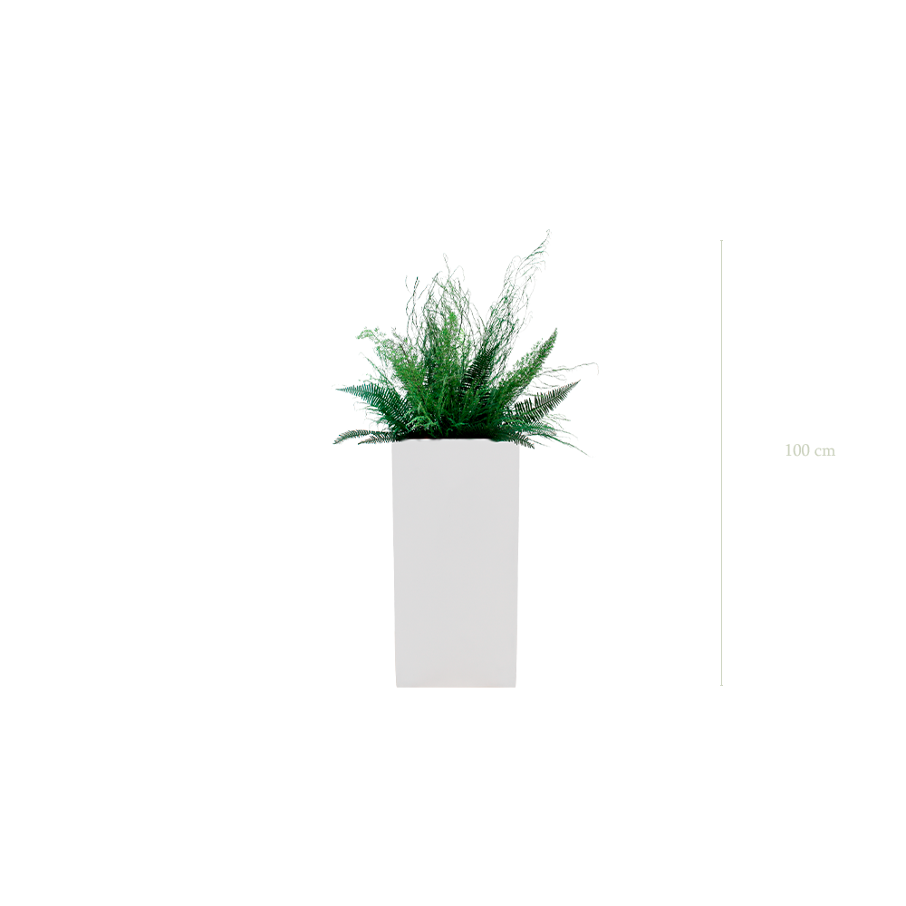La Forêt - Cube Haut Blanc #Stabilisé