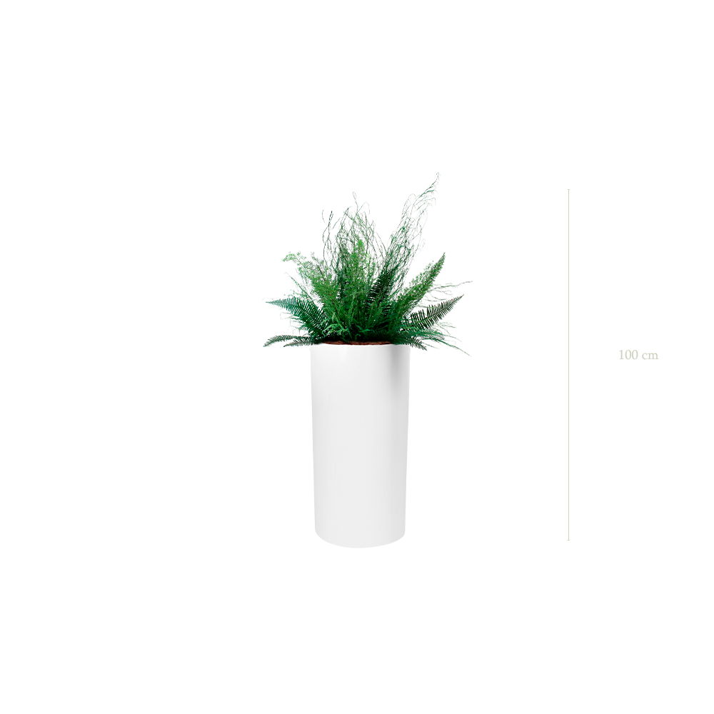 La Forêt - Cylindre Haut Blanc #Stabilisé