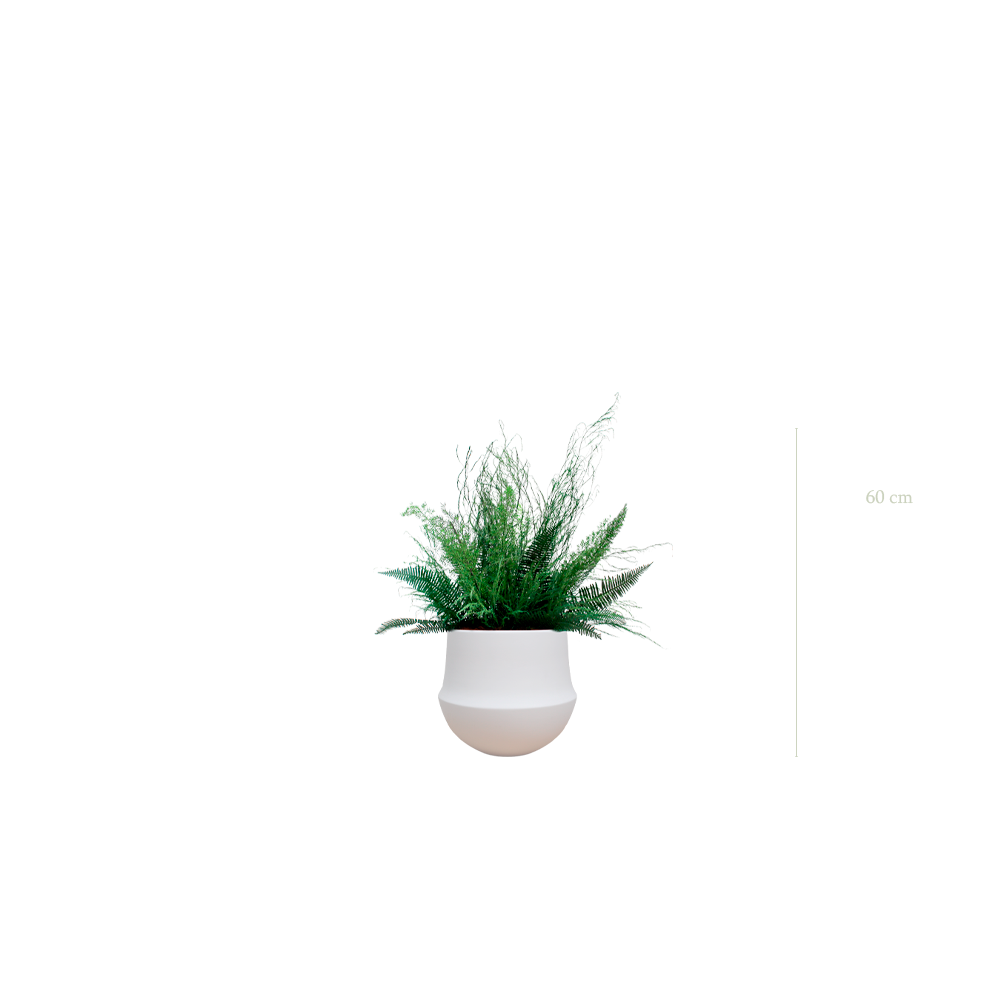 La Forêt - Pot Rond Blanc #Stabilisé