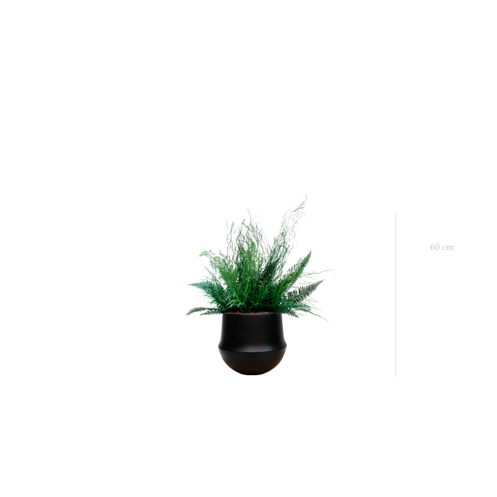 The Forest - Black Round Pot #Stabilized