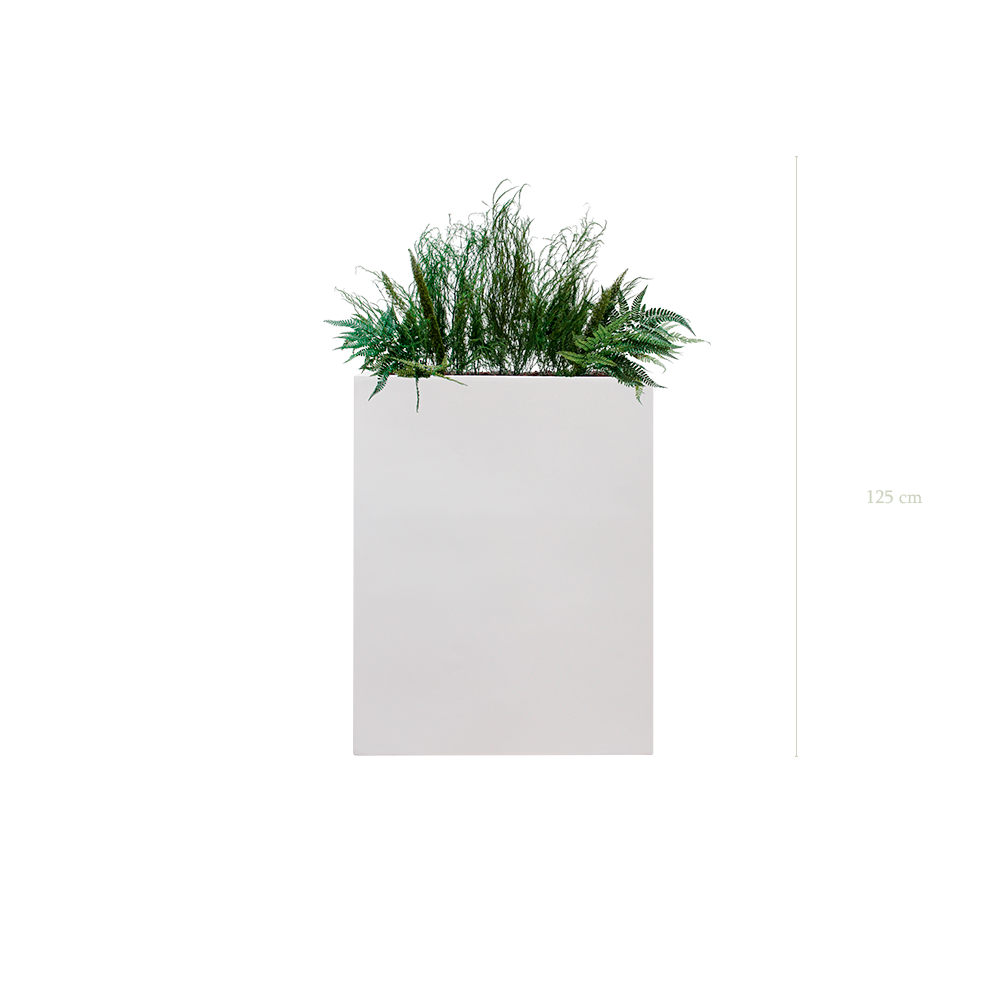 Séparateur M. Forêt - Bac Blanc #Stabilisé