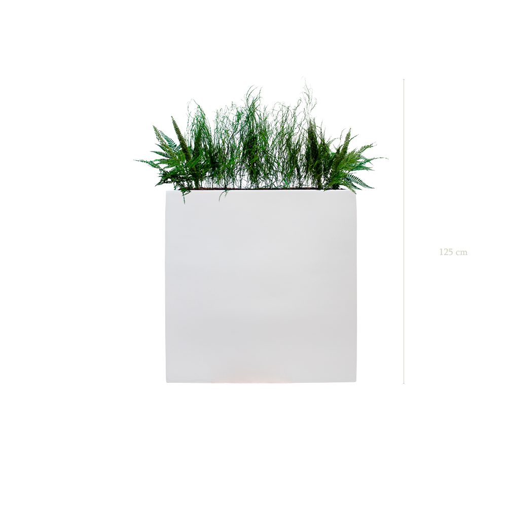 The Forest L. White Divider #Stabilized