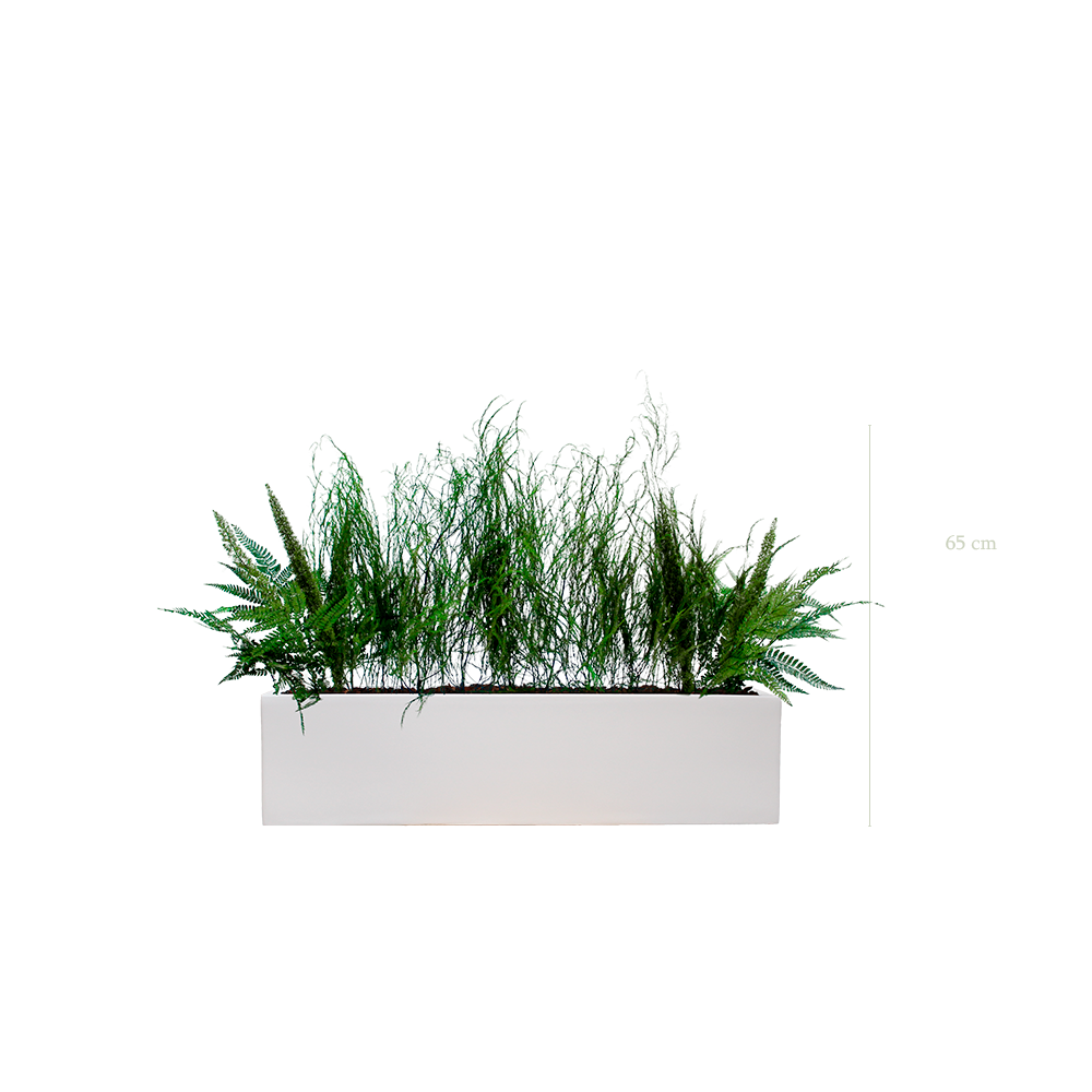 Jardinière Forêt - Bac Blanc #Stabilisé