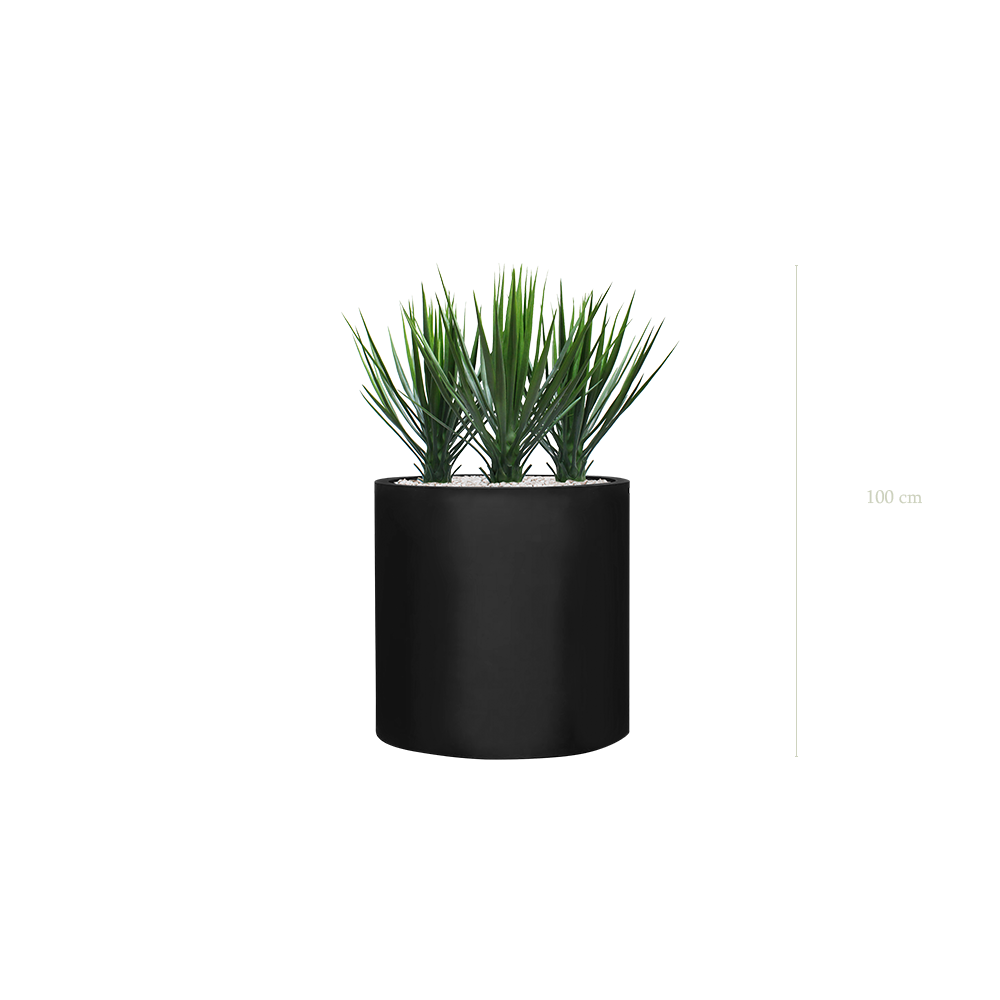 Les Yuccas - Cylindre Noir - Extérieur - Artificiel