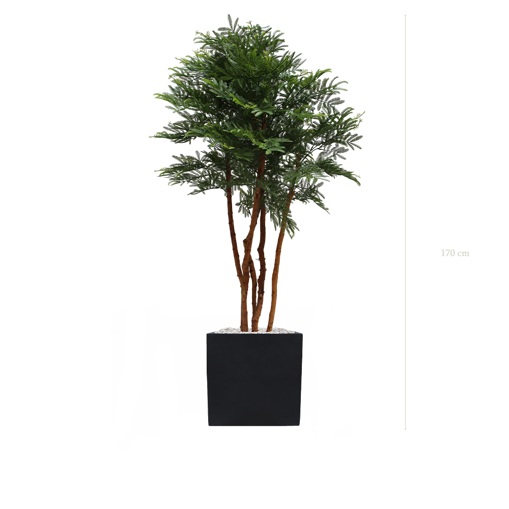 Der Tamarindenbaum – Schwarzer kubischer Topf #Außenbereich #künstlich