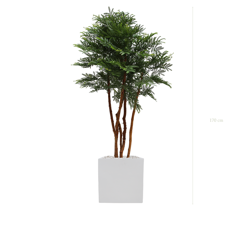 Der Tamarindenbaum – weißer kubischer Topf #Außenbereich #Künstlich