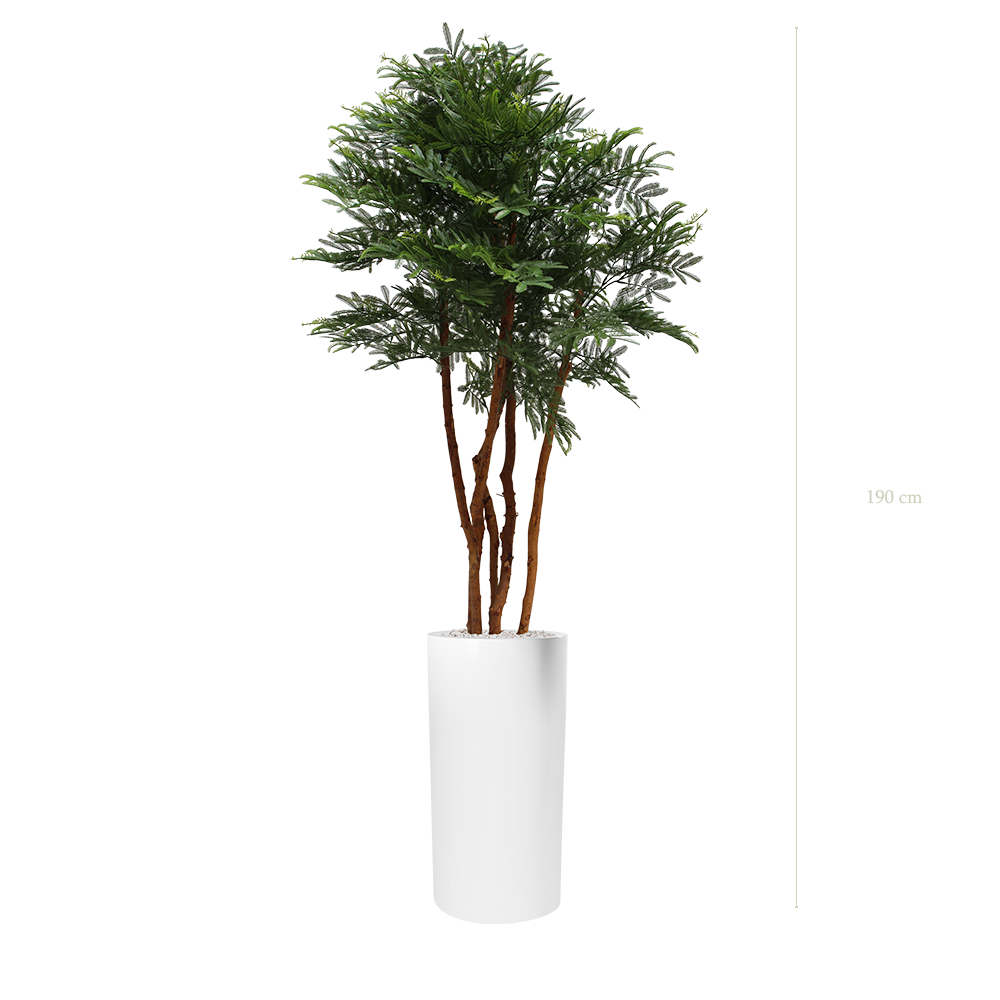 The Tamarind tree - Tall White Cylinder Pot #Artificial #Outdoor