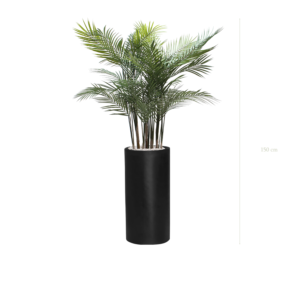 L'Areca - Cylindre Haut Noir - Extérieur - Artificiel