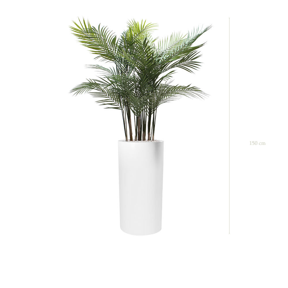 Die Areca – Weißer Hochzylinder #Außenbereich #Künstlich