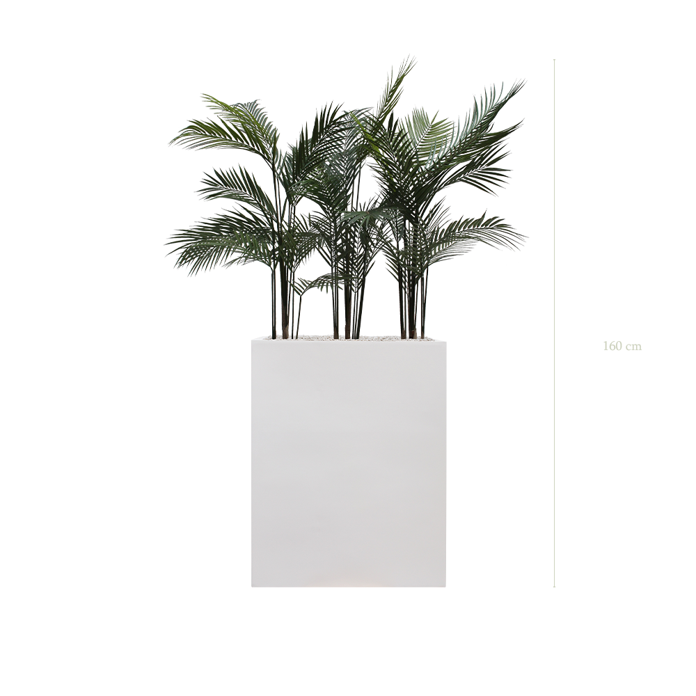 Séparateur M. Arecas - Bac Blanc #Extérieur #Artificiel