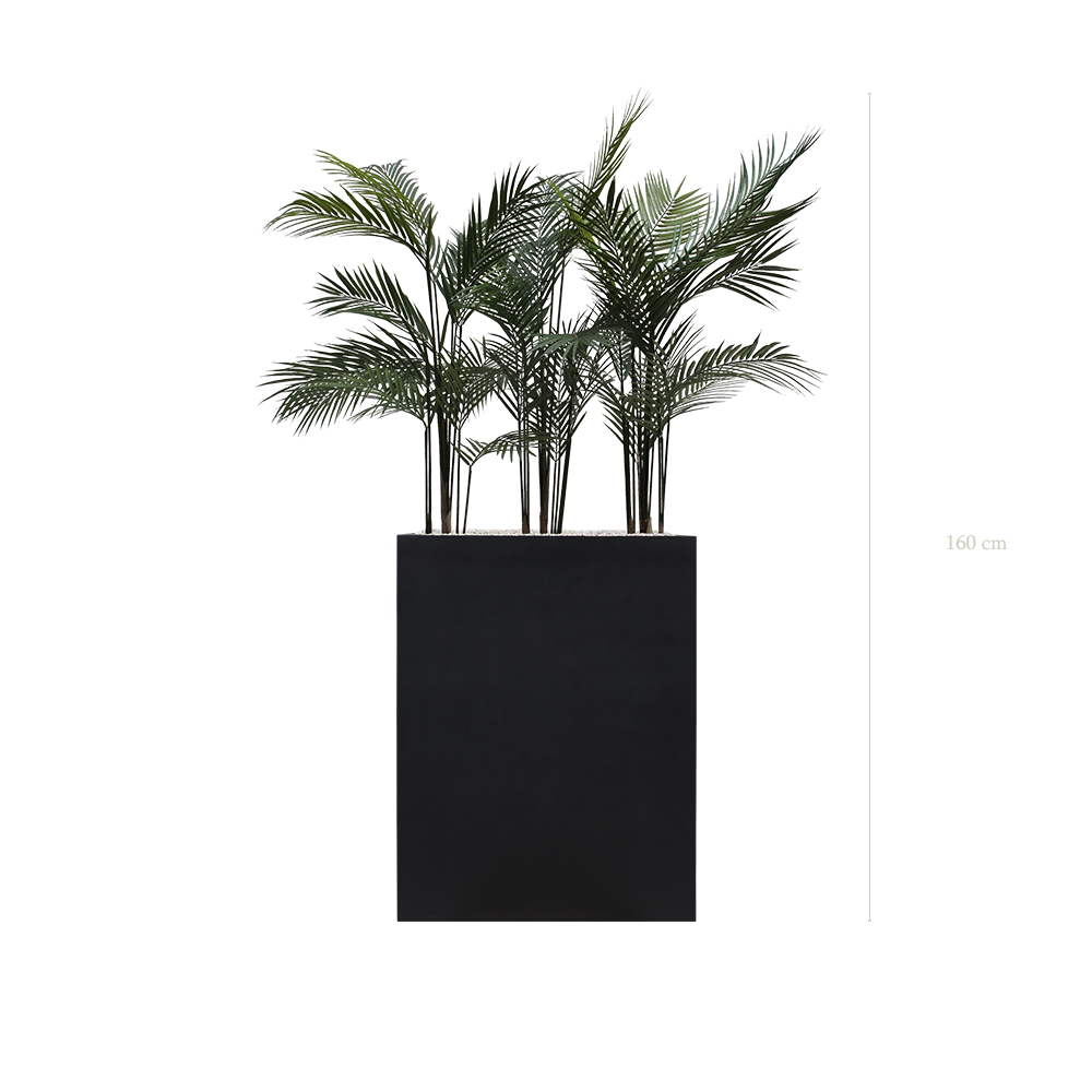 The Arecas M. Black Divider #Artificial #Outdoor