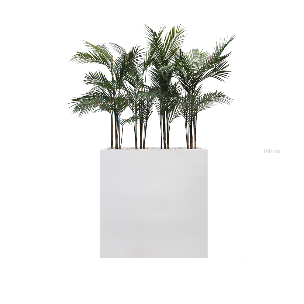 Séparateur L. Arecas - Bac Blanc #Extérieur #Artificiel