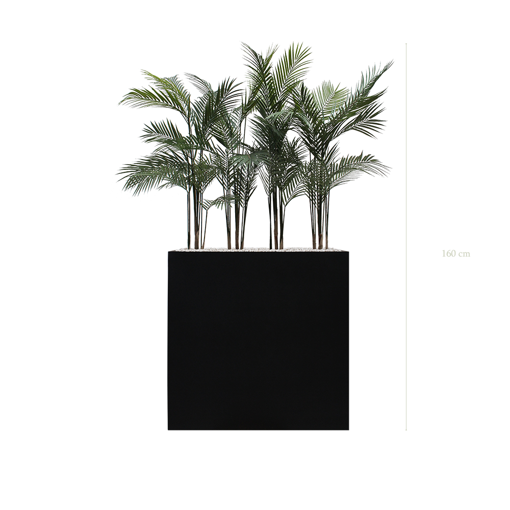 Séparateur L. Arecas - Bac Noir #Extérieur #Artificiel