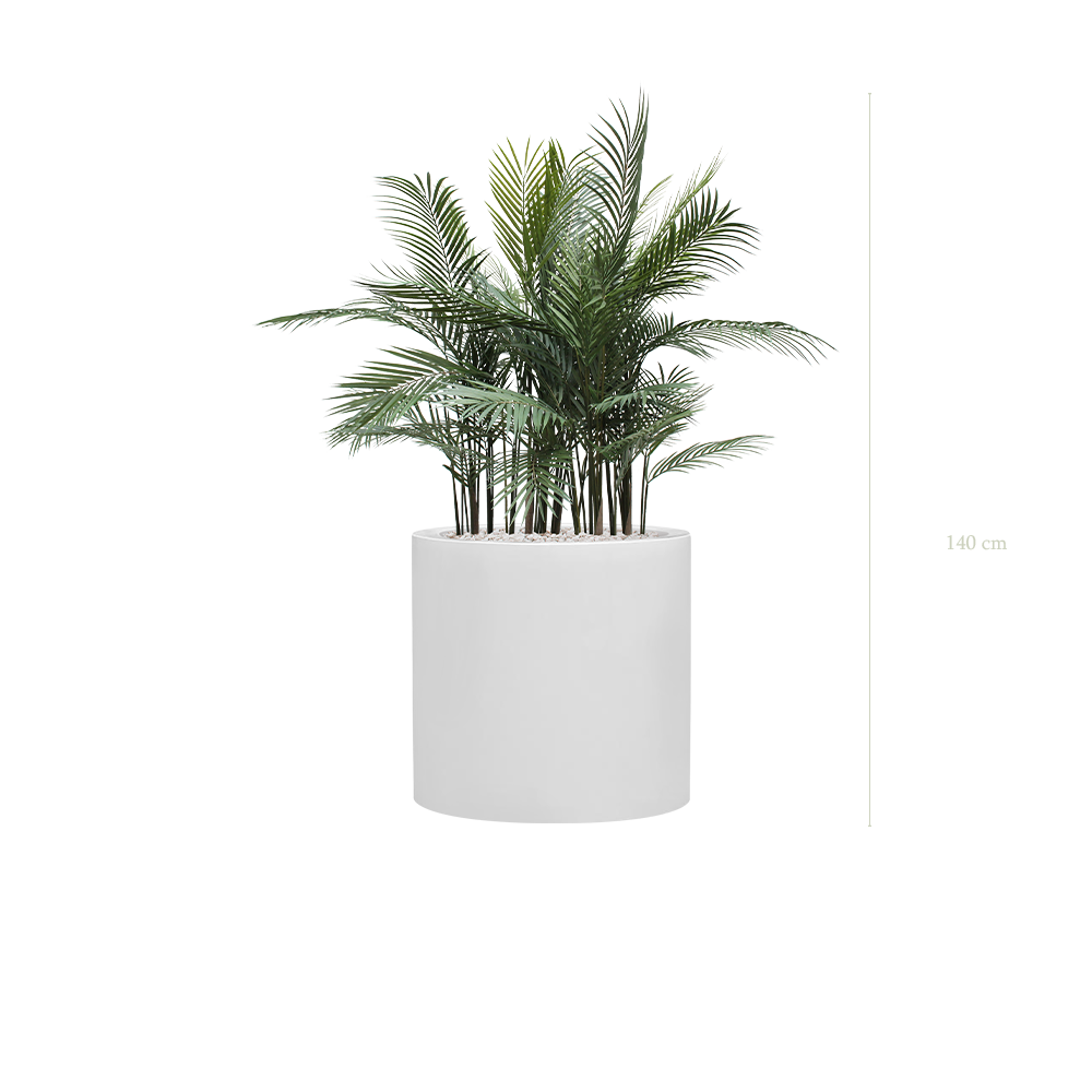 The Arecas - White Cylinder Pot #Artificial #Outdoor