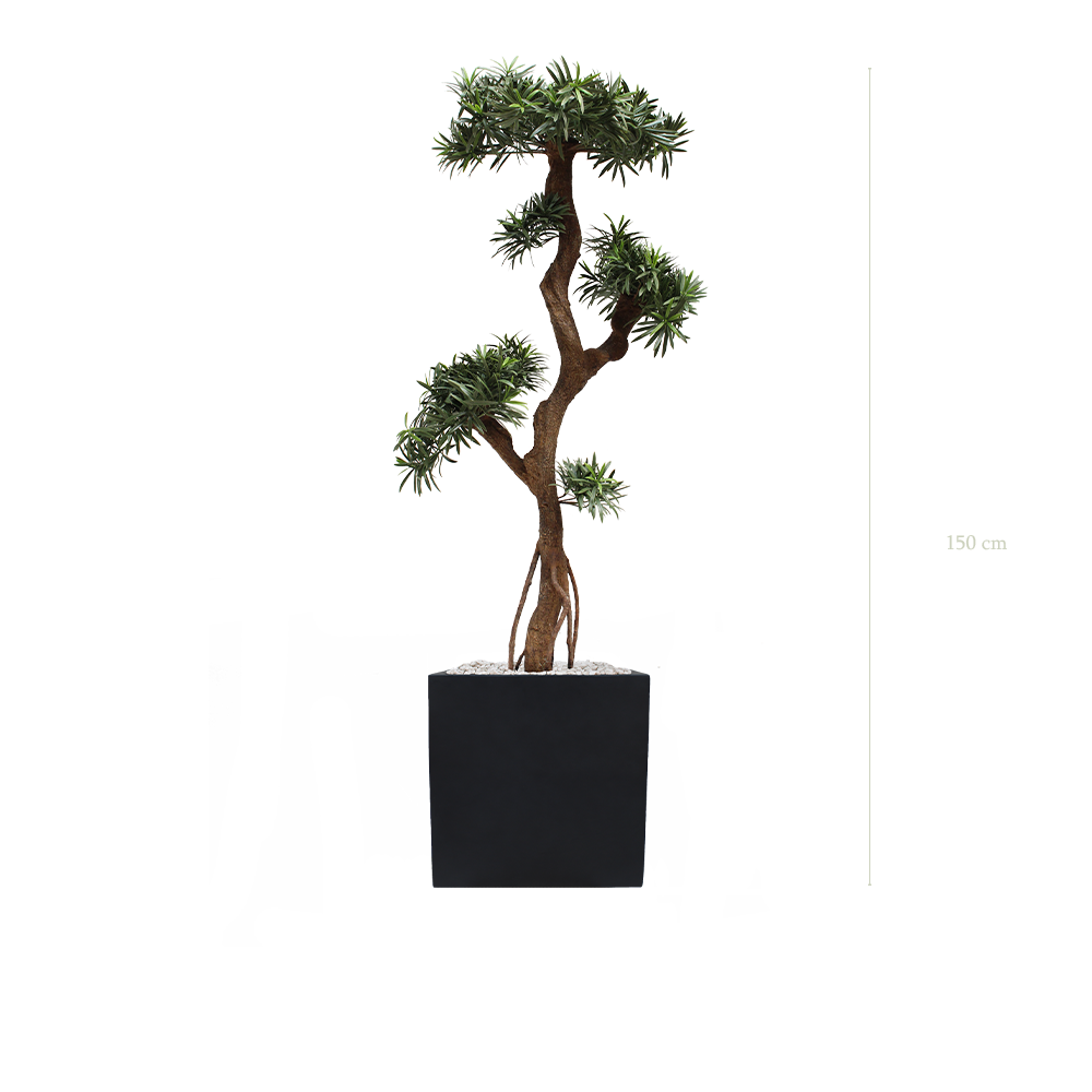 The Podocarpus - Black Pot #Artificial #Outdoor