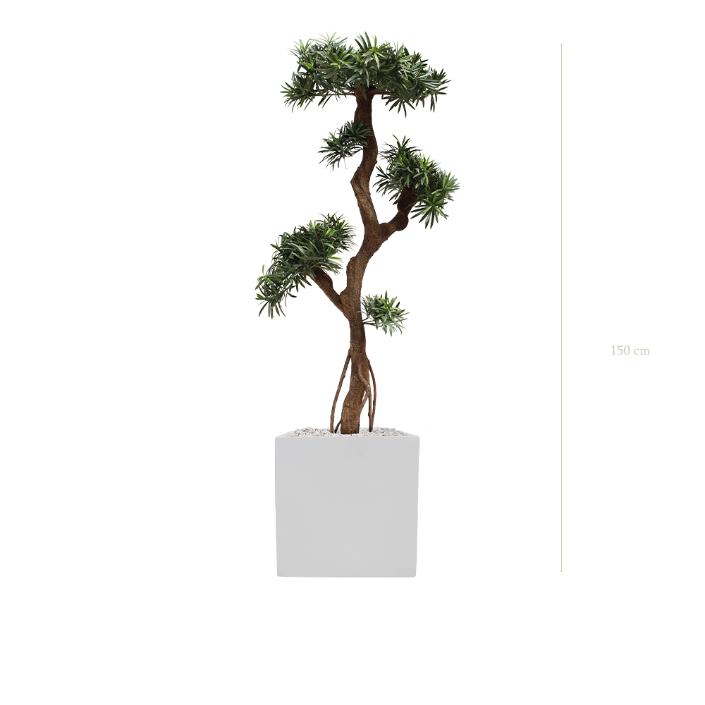The Podocarpus - White Square Pot #Artificial #Outdoor