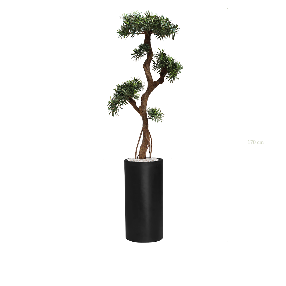 The Podocarpus - Tall Black Cylinder Pot #Artificial #Outdoor