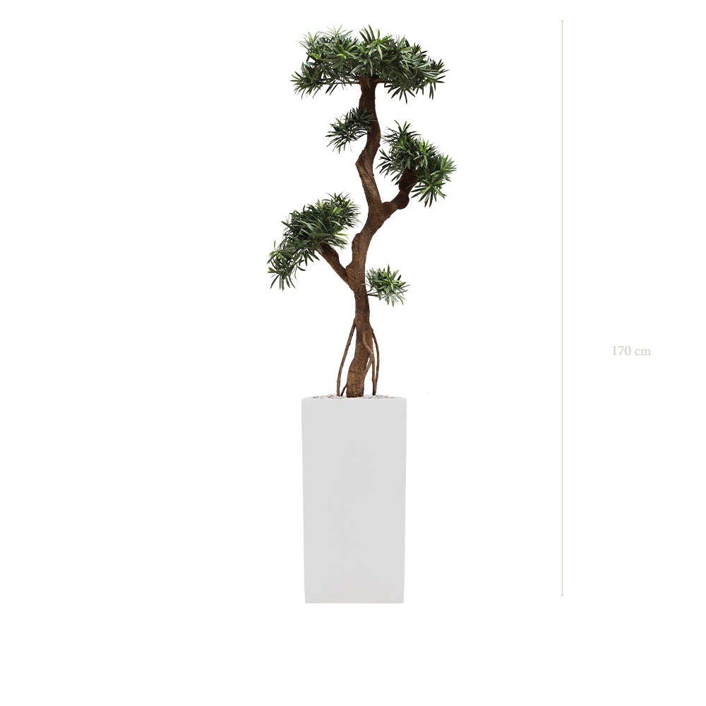 The Podocarpus - Tall White Cube Pot #Artificial #Outdoor