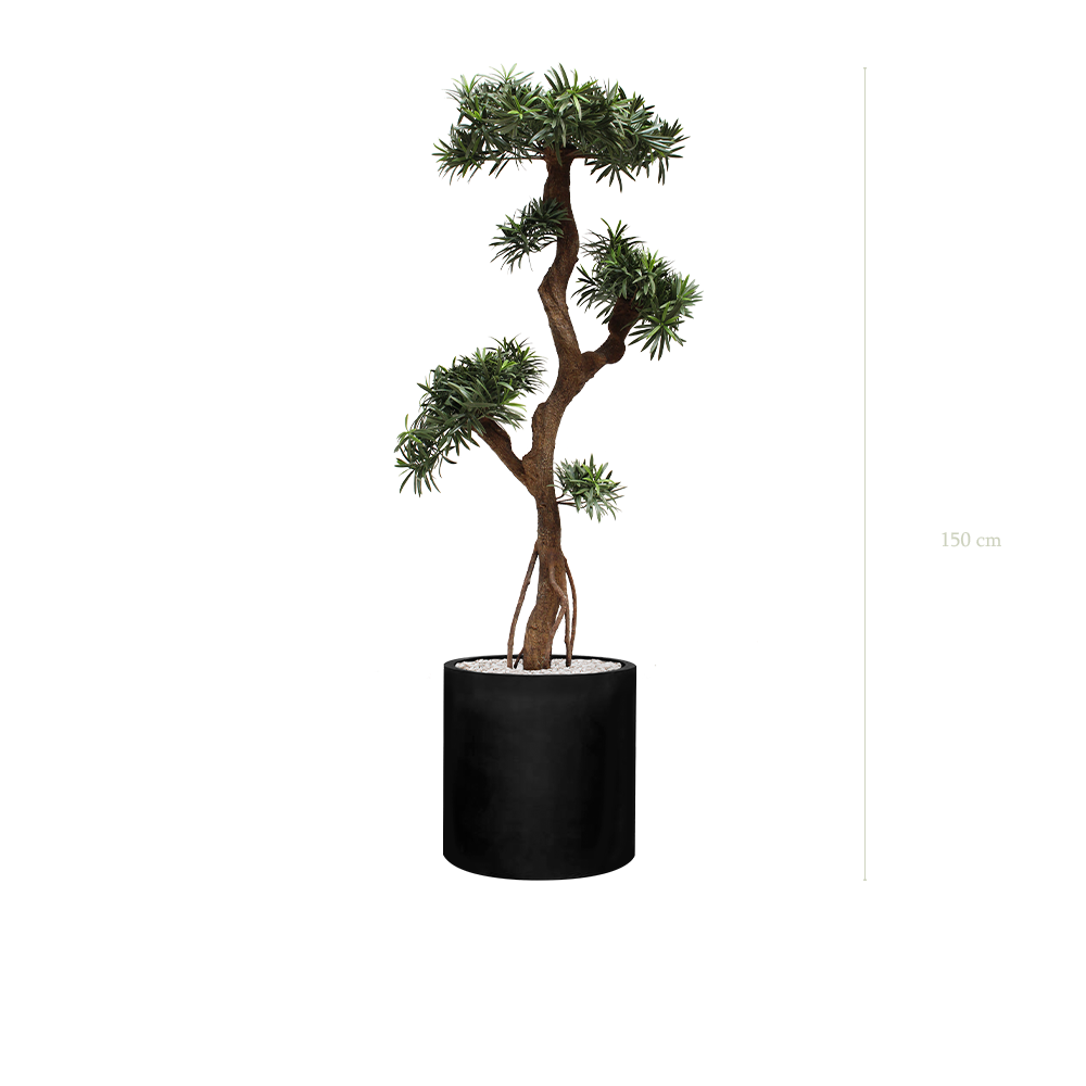 Le Podocarpus - Cylindre Noir #Extérieur #Artificiel 