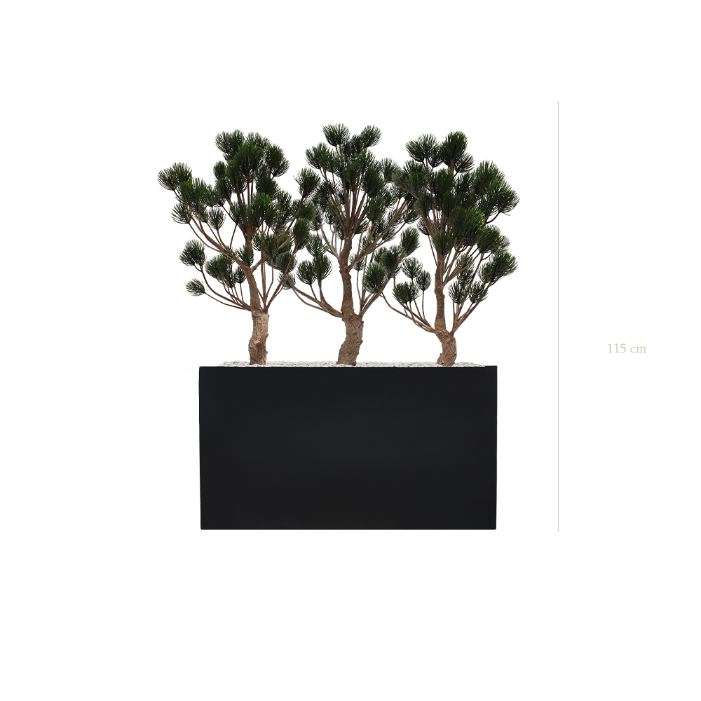 The Garigue Pine Tree S. Black Divider #Artificial #Outdoor