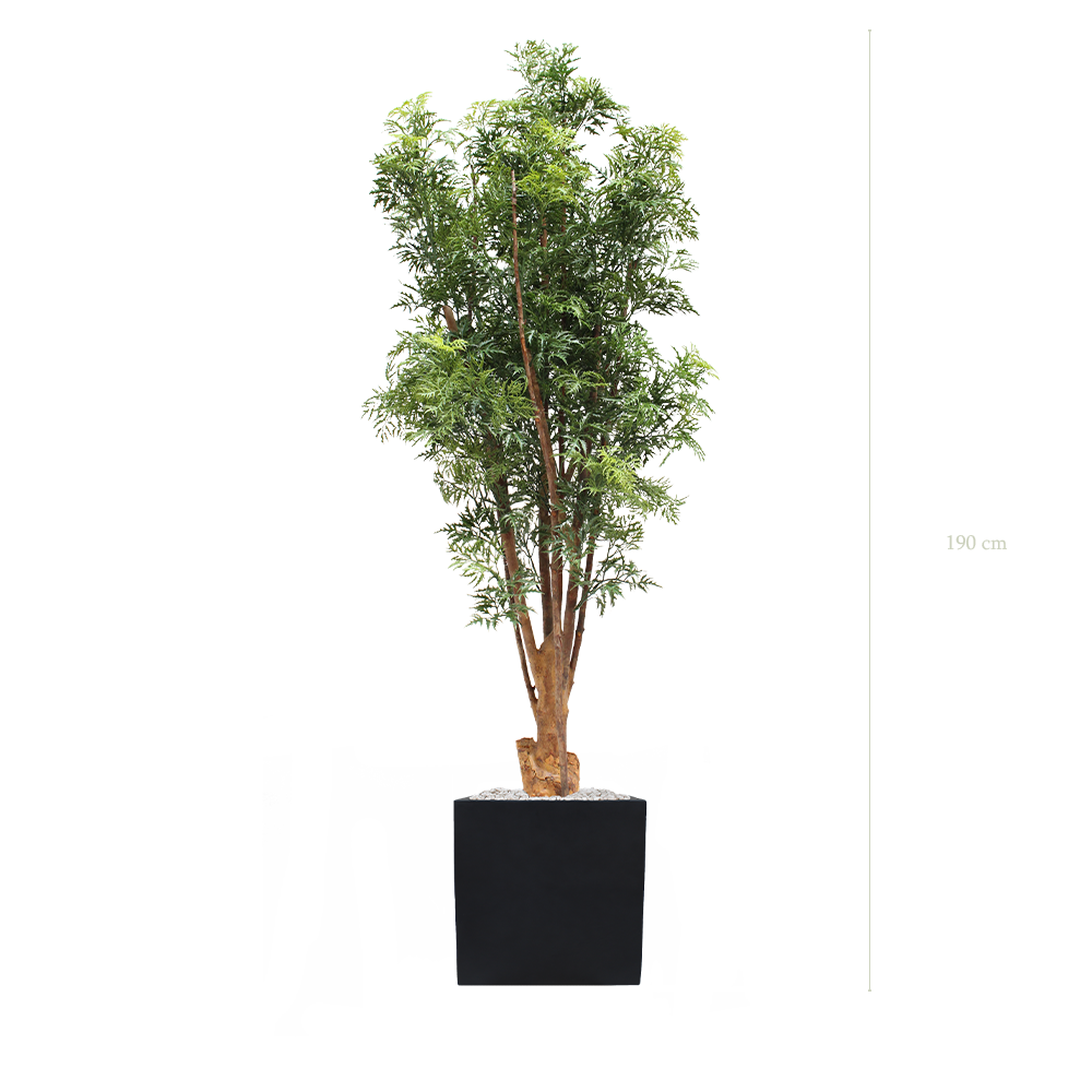 The Aralia - Black square pot - #Artificial #Outdoor