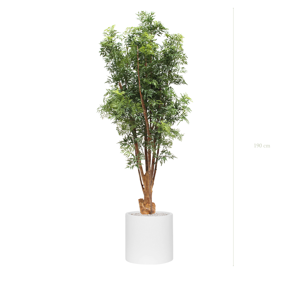 The Aralia - White cylinder pot - #Artificial #Outdoor