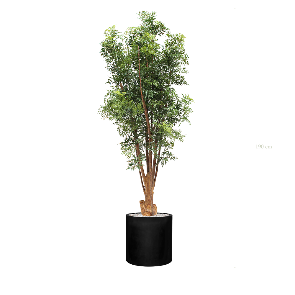 The Aralia - Black cylinder pot - #Artificial #Outdoor