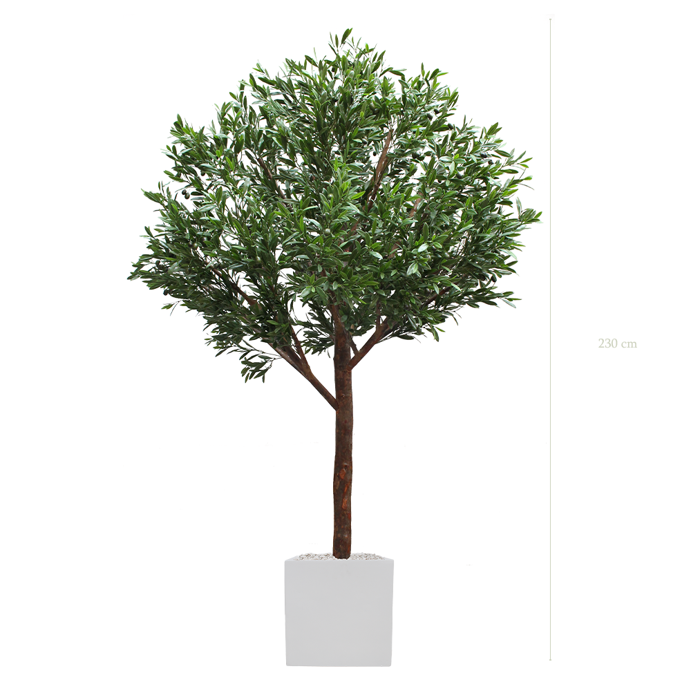 L’Olivier 230 - Cube Blanc #Extérieur #Artificiel