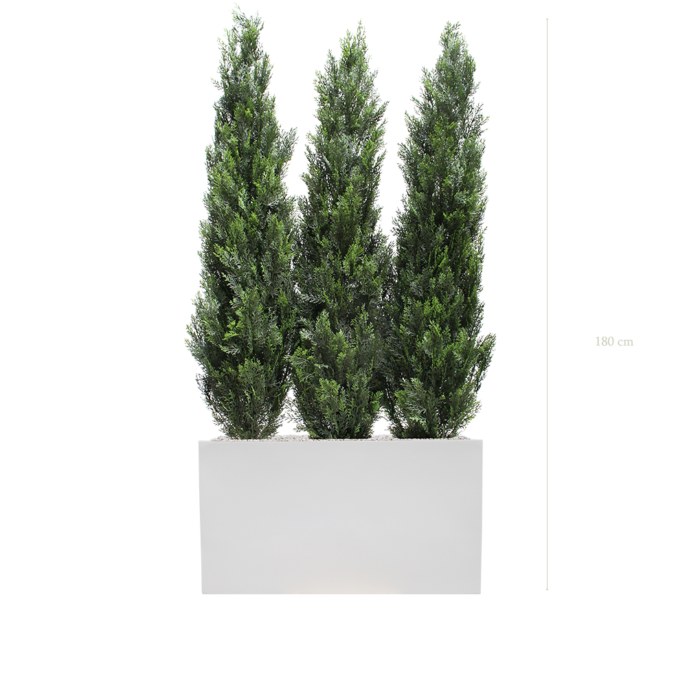 Séparateur S. Cyprès - Bac Blanc #Extérieur #Artificiel