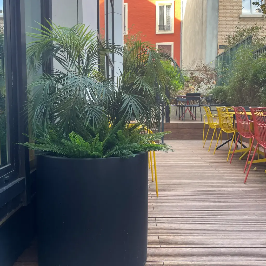 Les Tropicales - Cylindre Noir - Extérieur - Artificiel