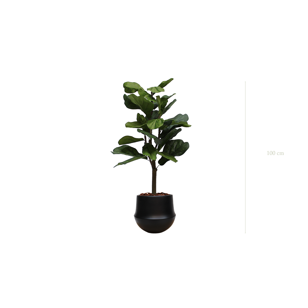 Le Lyrata - Pot Rond Noir #Artificiel