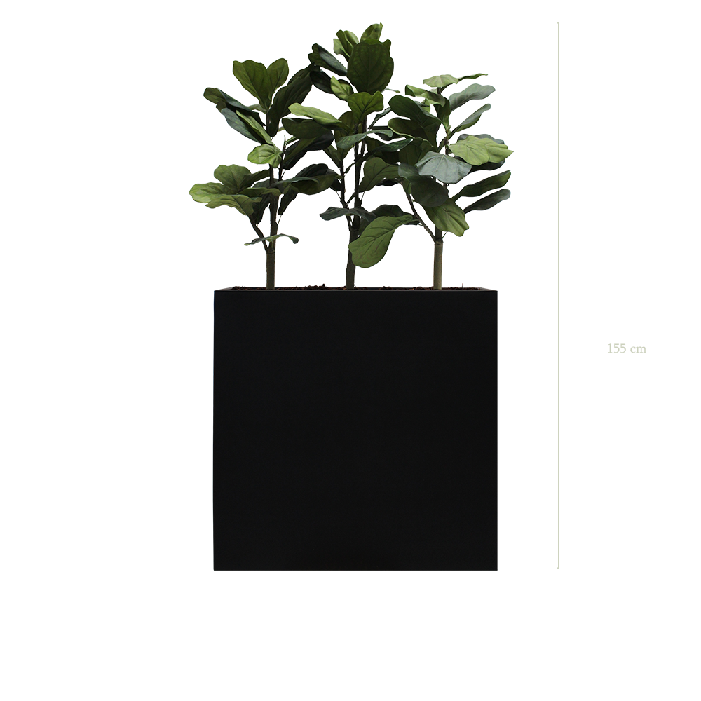 The Lyrata L. Black Divider  #Artificial