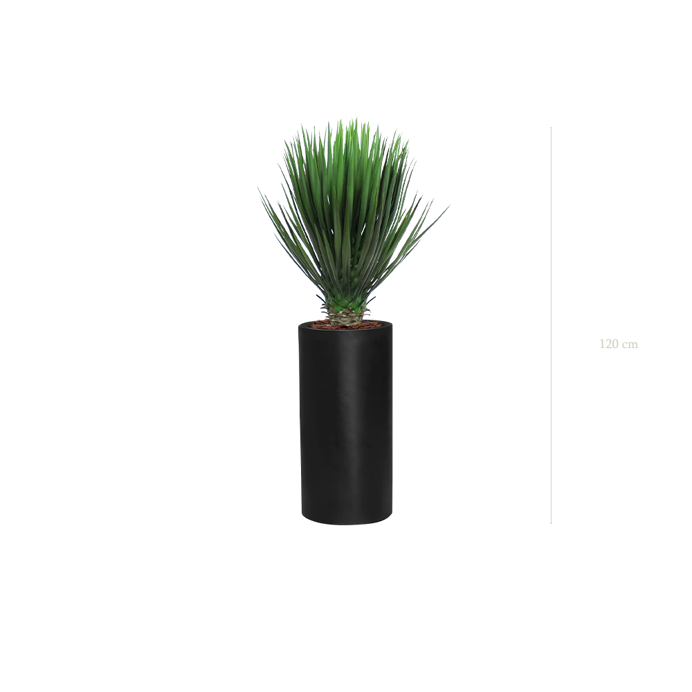 The Yucca in a tall black cylinder pot #Artificial