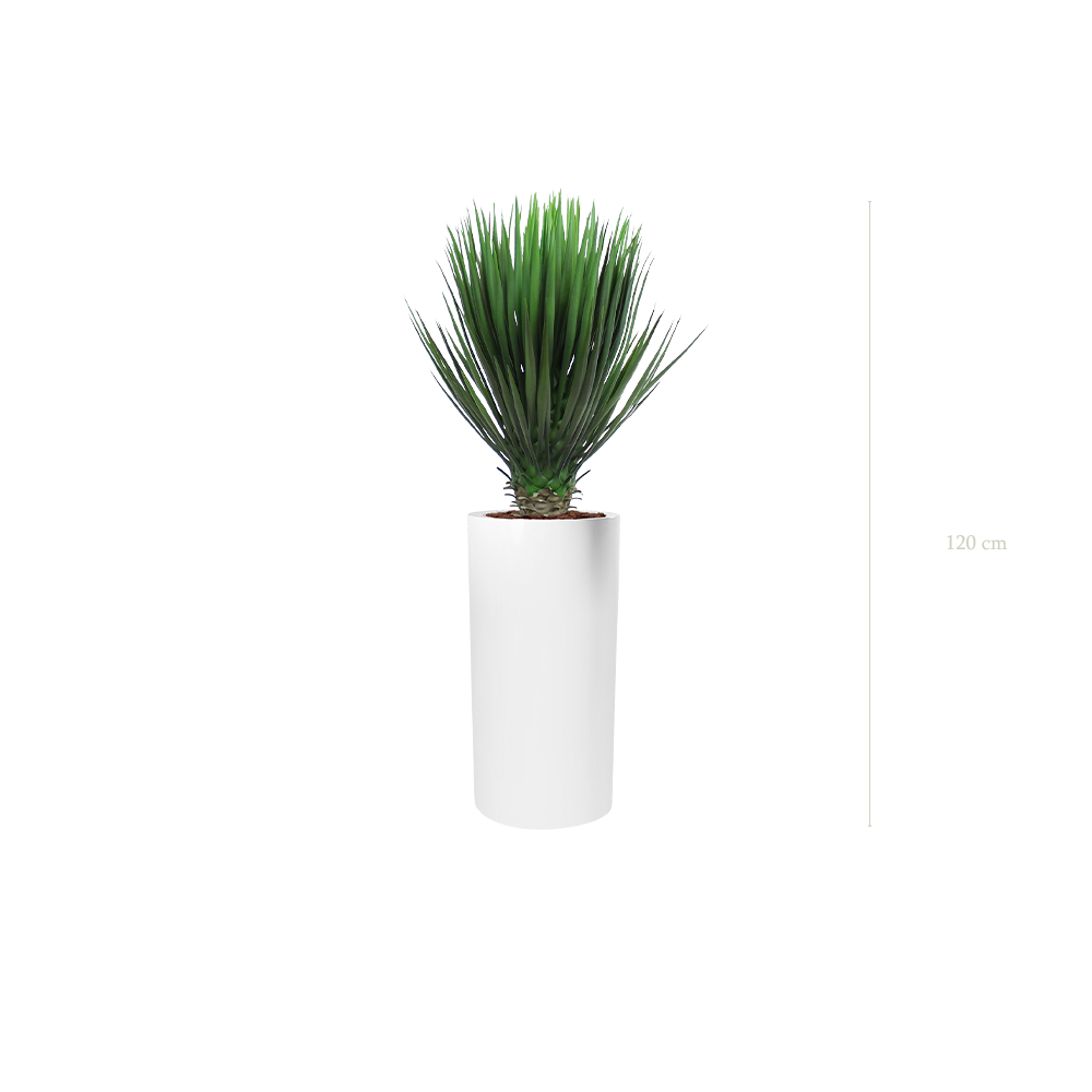 Le Yucca - Cylindre Haut Blanc #Artificiel
