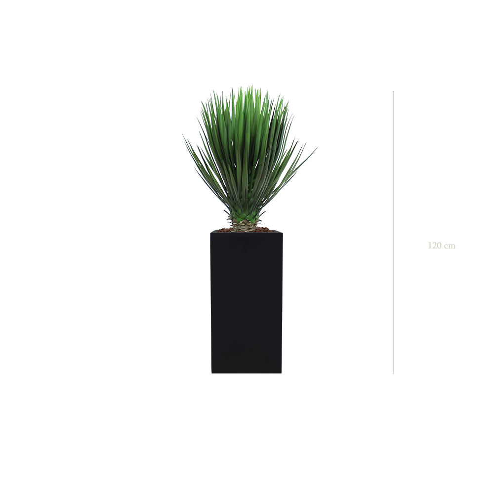 Le Yucca - Cube Haut Noir - Artificiel
