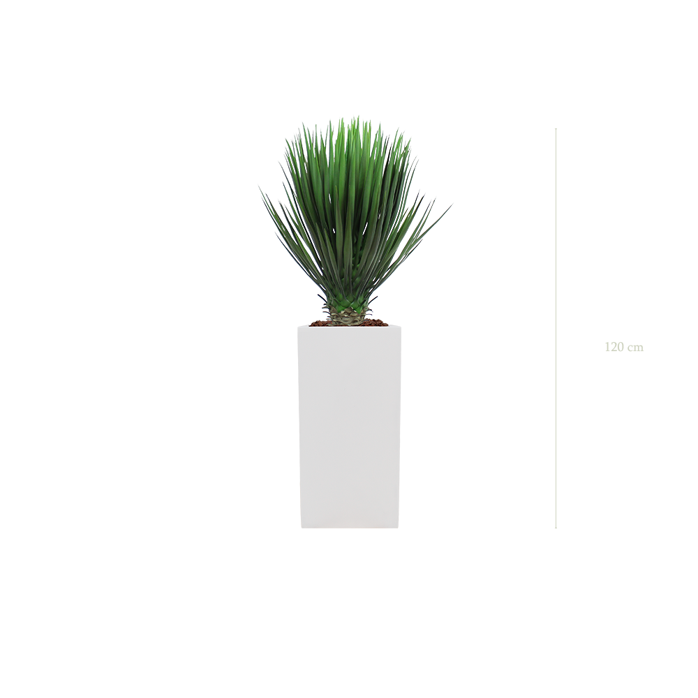 Le Yucca - Cube Haut Blanc #Artificiel