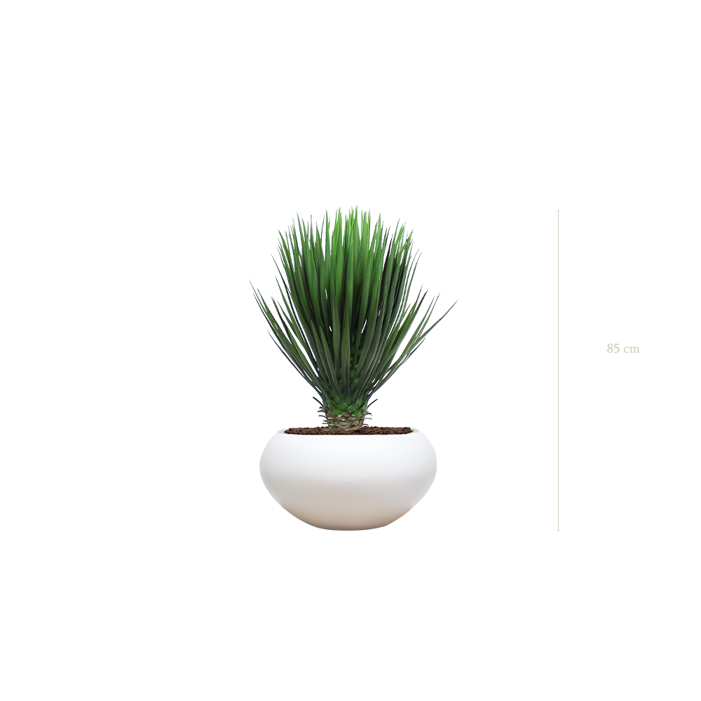 Le Yucca - Pot Ovale Blanc - Artificiel