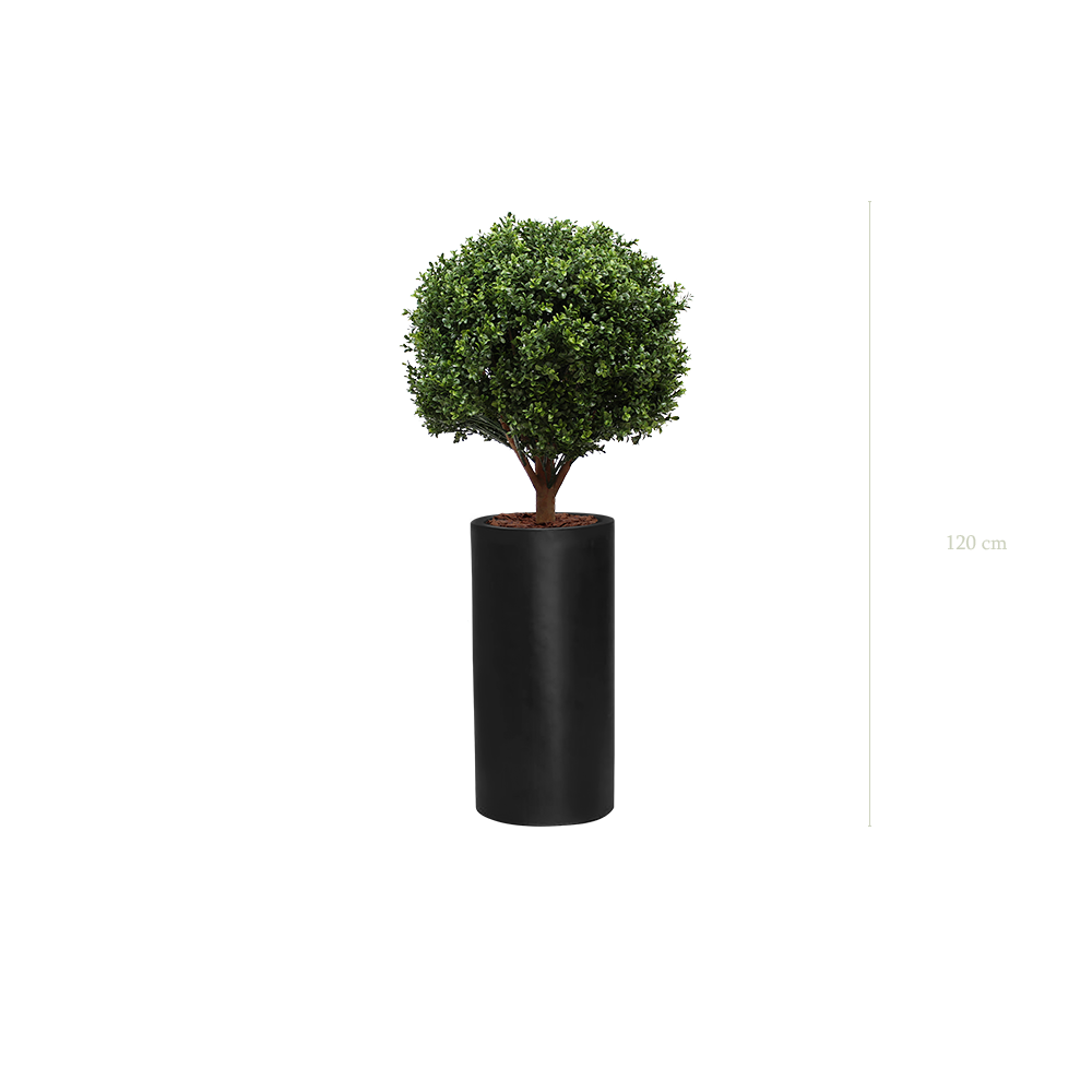 The Boxwood in a black cylinder pot #Artificial