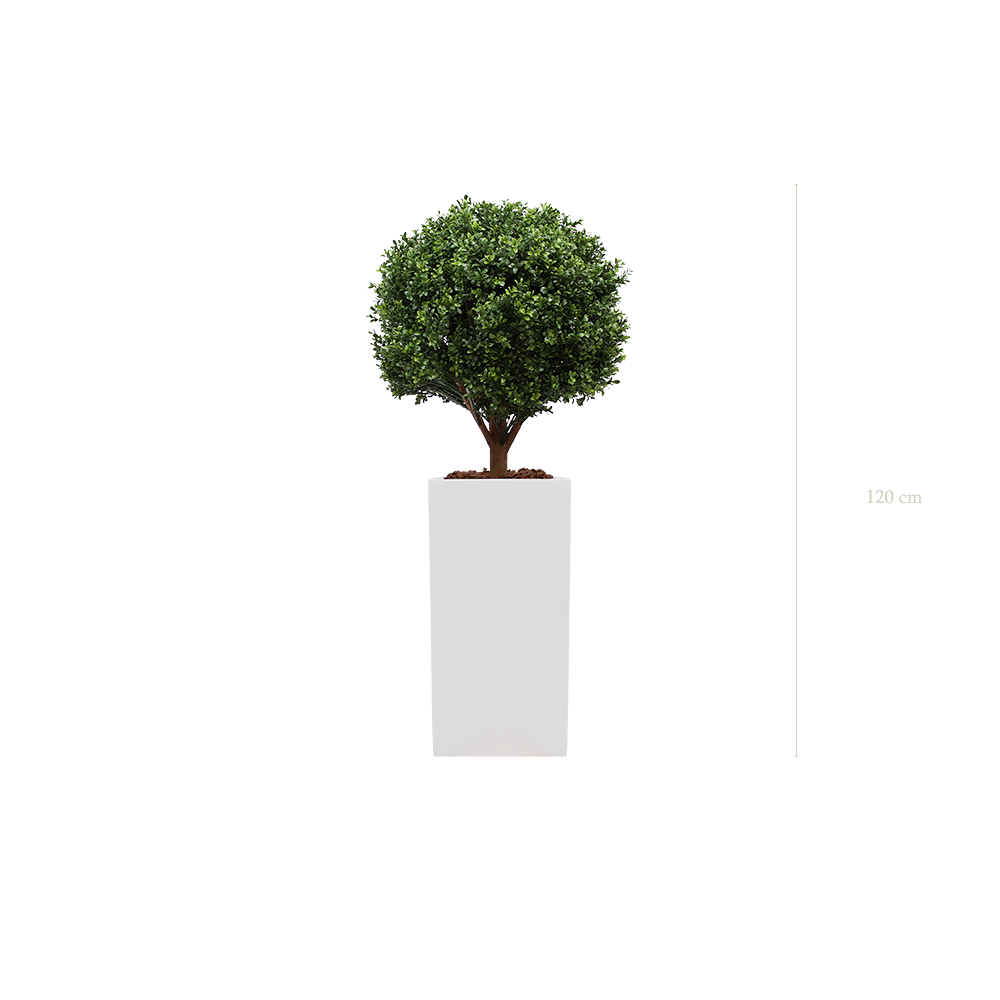 Le Buis - Cube Haut Blanc #Artificiel