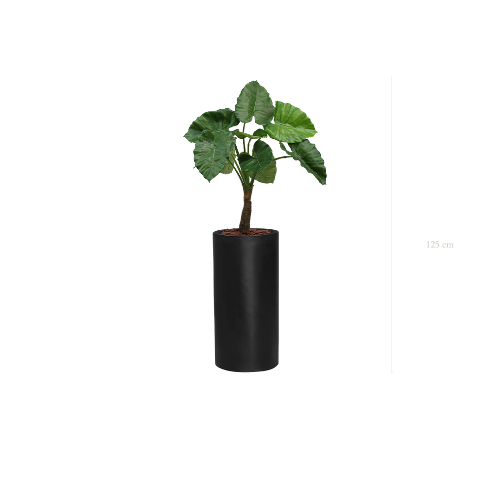 The Alocasia in a tall black cylinder pot #Artificial