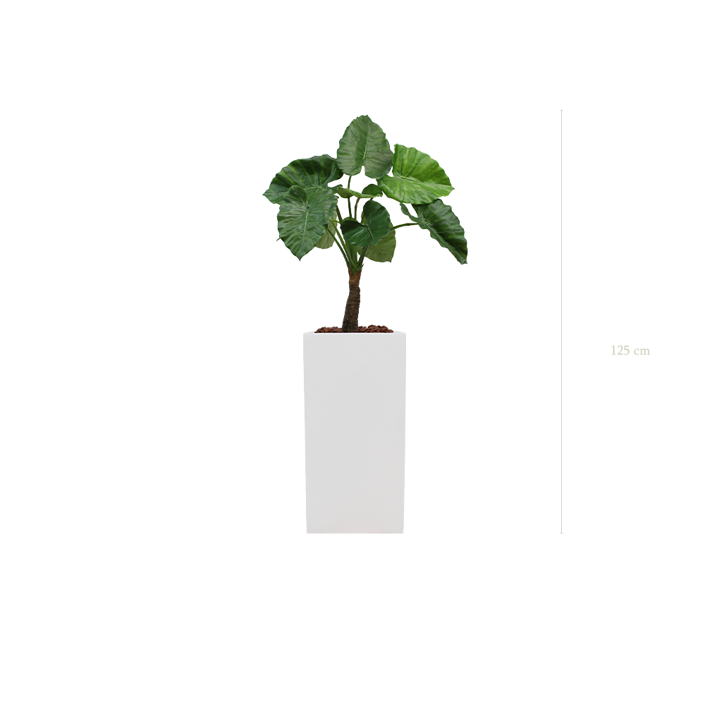 Le Petit Alocasia - Cube Haut Blanc #Artificiel
