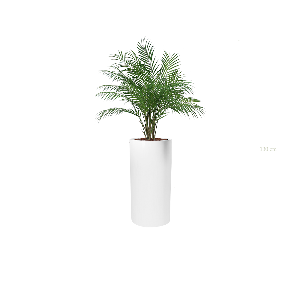 The Palm in a tall white cylinder pot #Artificial