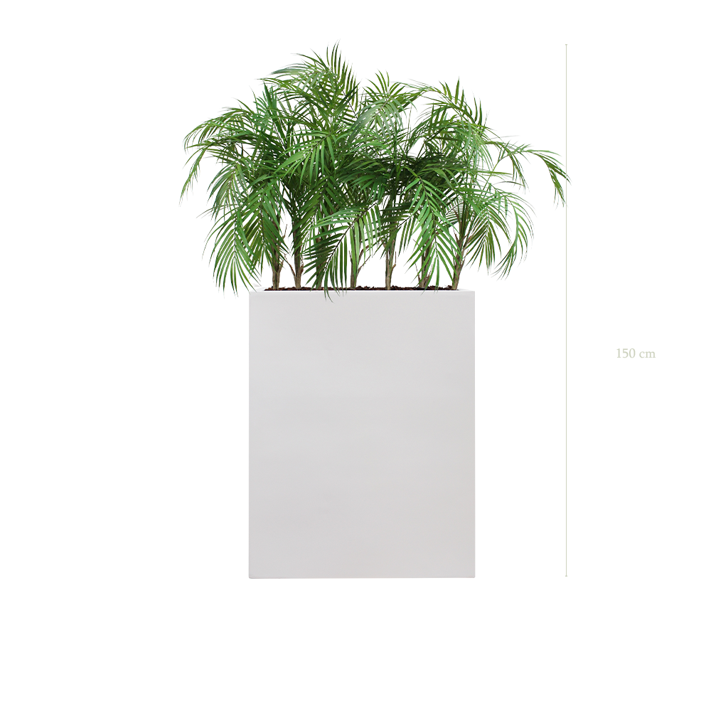 Séparateur M. Palms - Bac Blanc #Artificiel