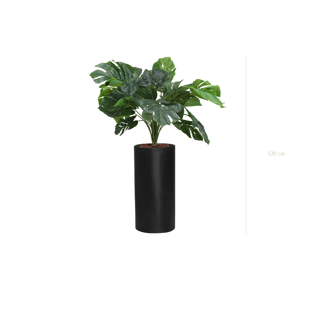 The small Monstera in a tall black cylinder pot  #Artificial