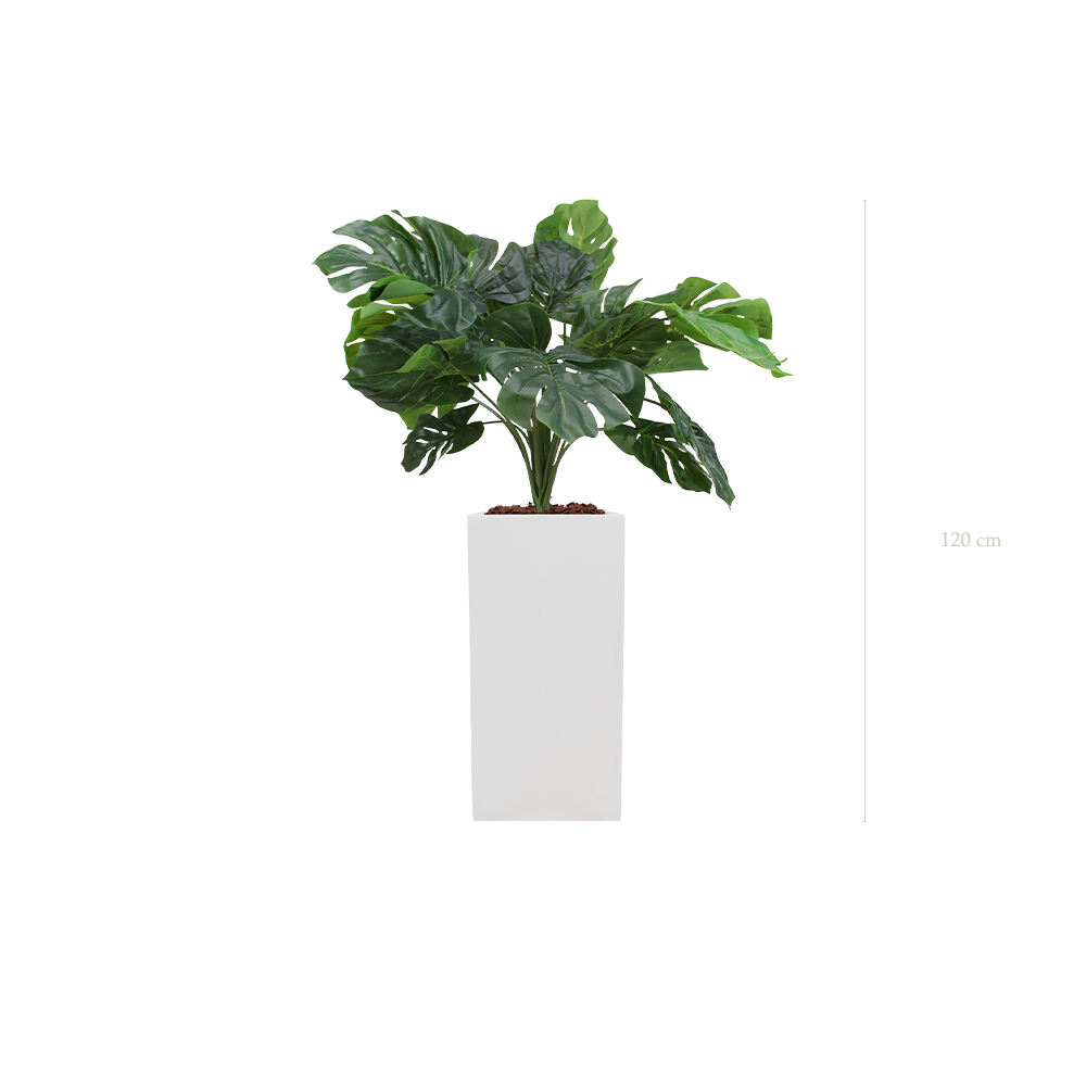 die kleine Monstera – Hoher weißer kubischer Topf #künstlich