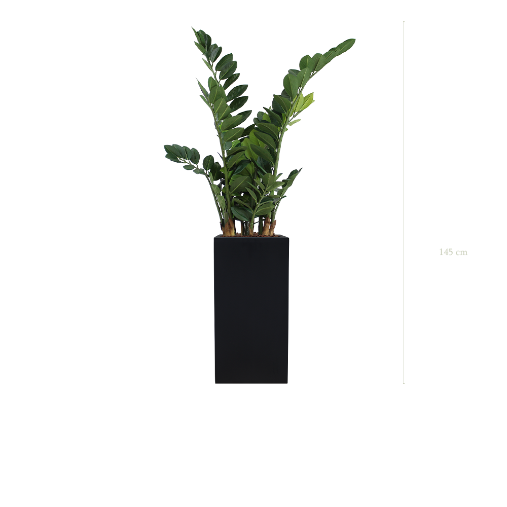 The Zamia in a tall black cube pot #Artificial