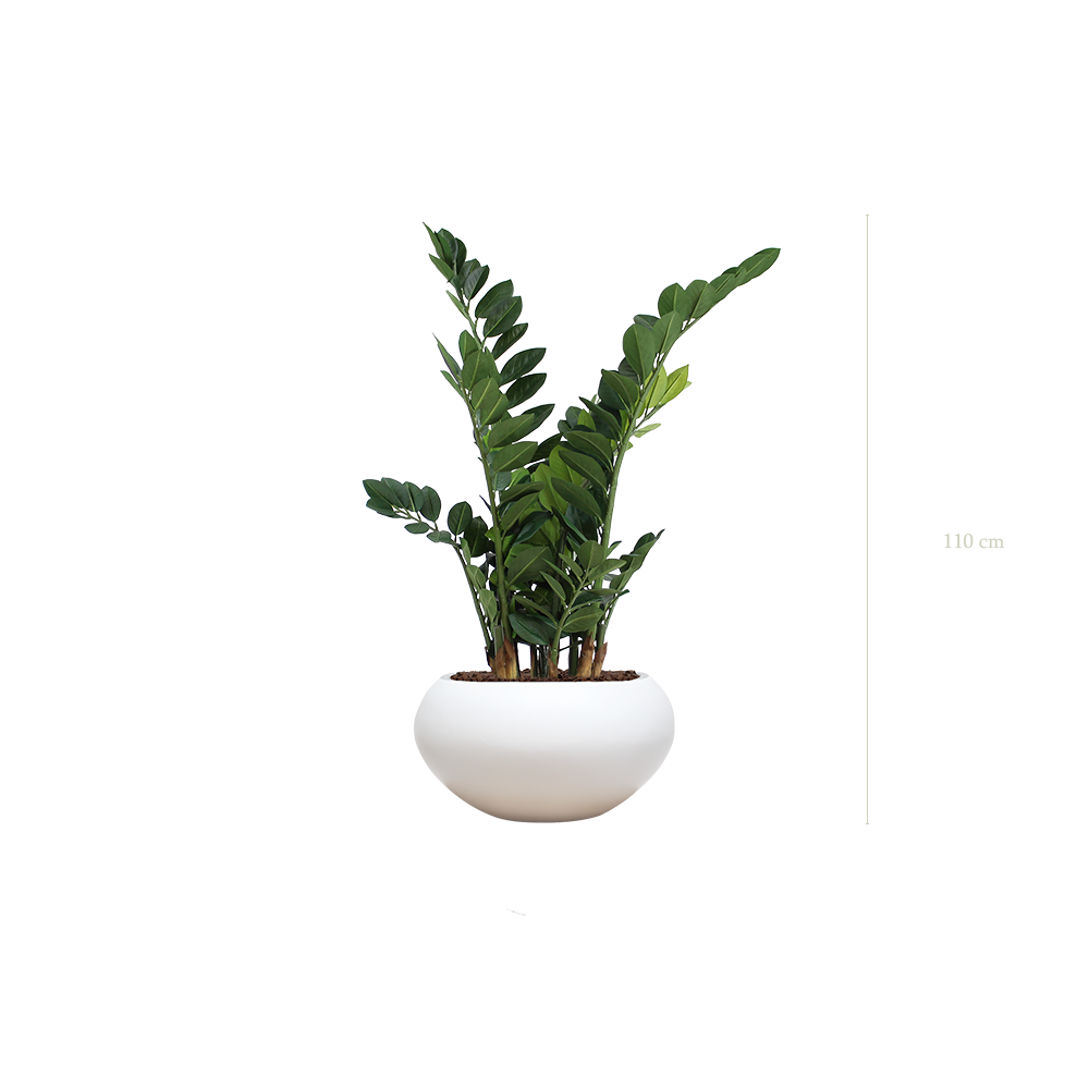 Le Zamia - Pot Ovale Blanc #Artificiel