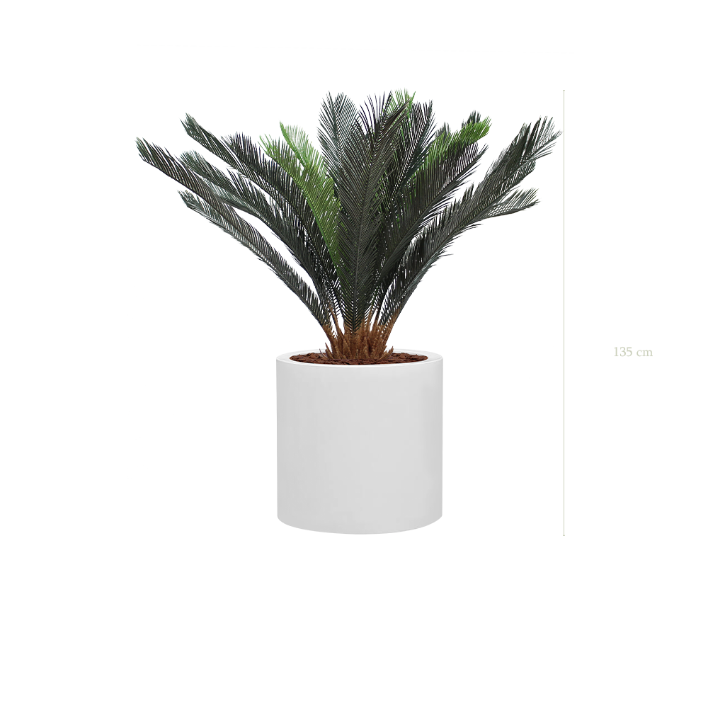 Der Cycas – Weißer Zylinder Topf Topf #Künstlich